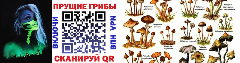 Псилоцибиновые грибы прущие грибы  Урай 